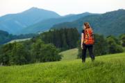 Hiking along the Vienna Pilgrimage Trail, © weinfranz.at